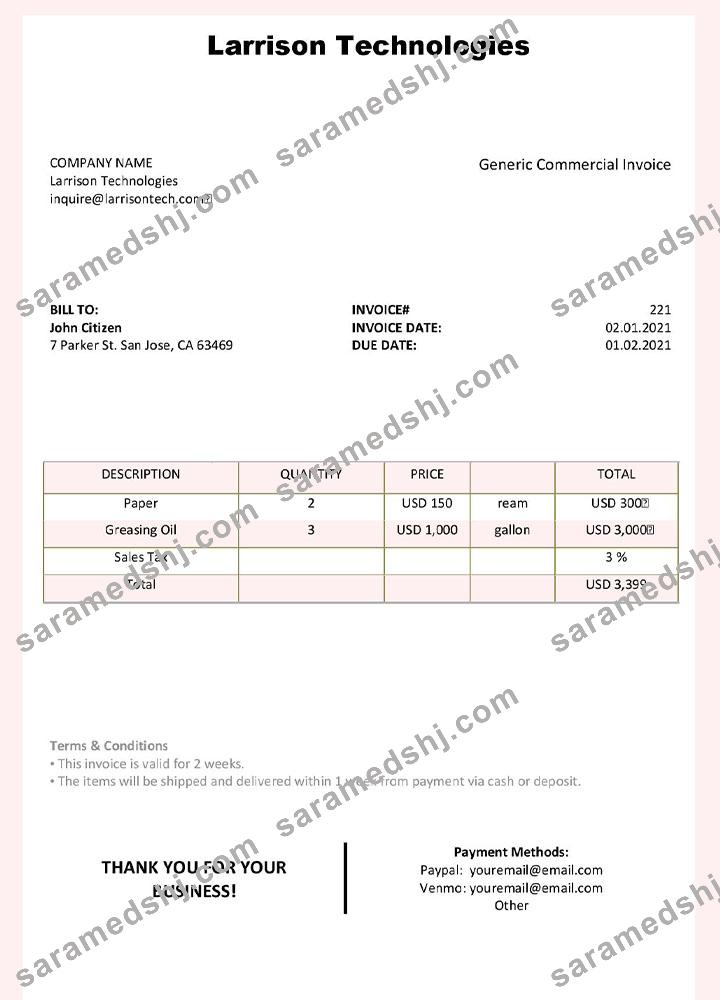 USA Larrison Technologies invoice template